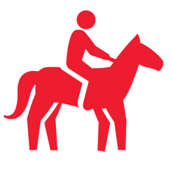 Horseback Riding Safety